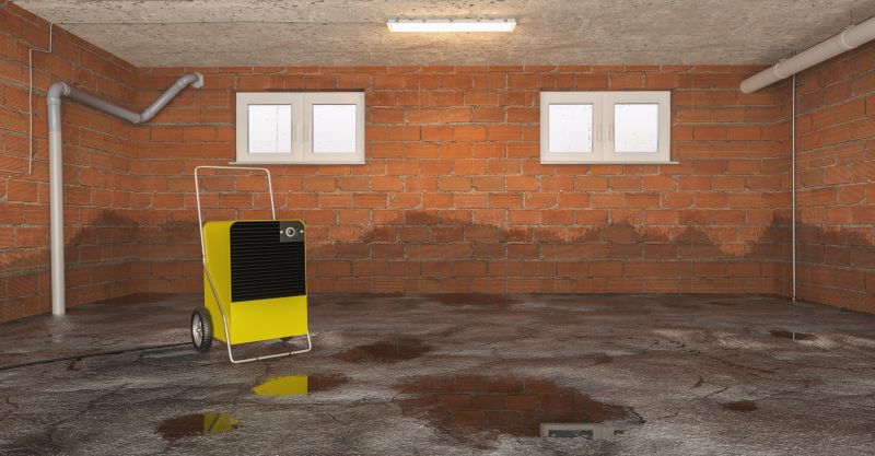 Basement Restoration Service in Scottsdale, AZ
