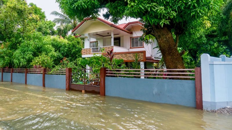 Flood Cleanup Service in Mesa, AZ