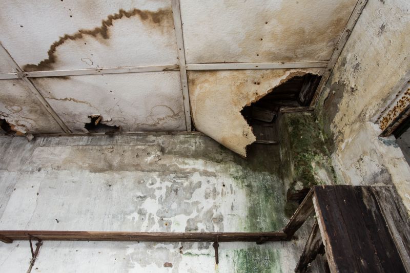 Water Damage Cleanup in Scottsdale, AZ