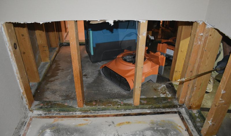 Water Damage Remediation in Mesa, AZ