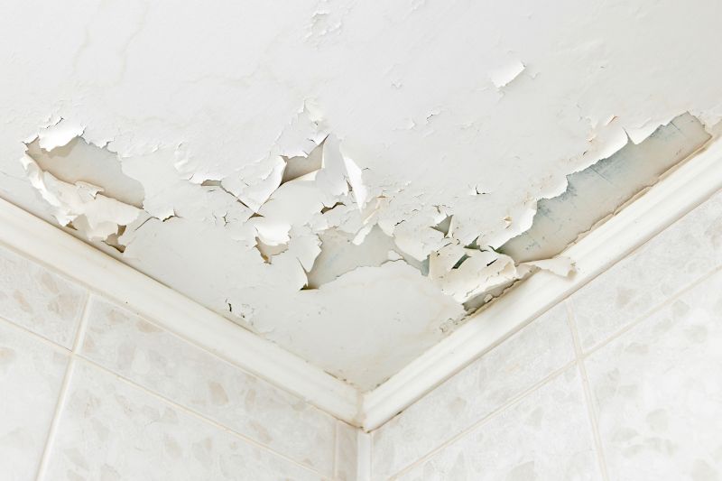 Water Damage Repair in Phoenix, AZ