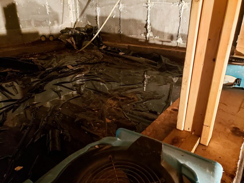 Basement Water Cleanup in Phoenix, AZ